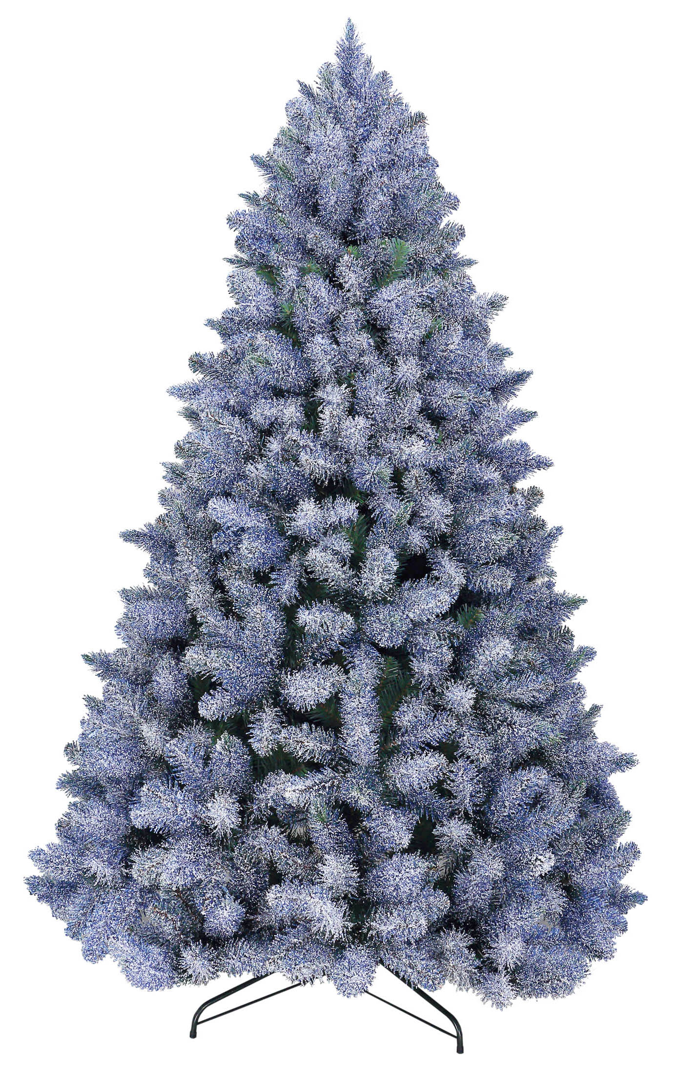 Blue Arctic Spruce Tree 210cm/7ft